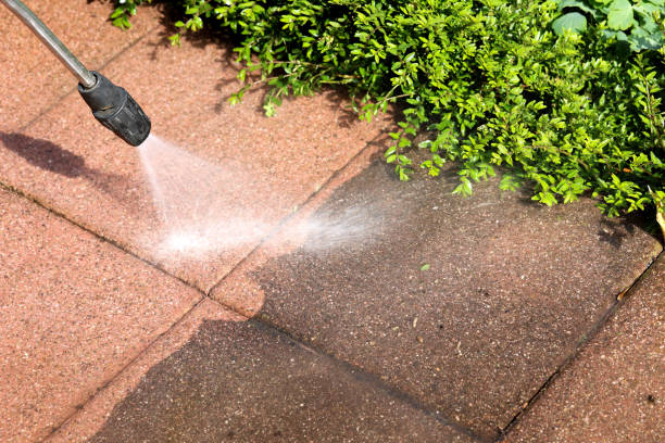 Best Power Washing Near Me  in Cedar Mill, OR